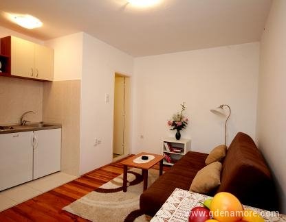 Wohnungen Draskovic, Apartment mit einem Schlafzimmer, Privatunterkunft im Ort Petrovac, Montenegro - Dnevna i kuhinja